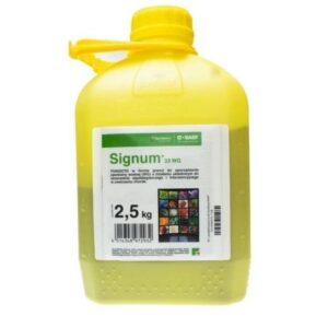 SIGNUM 33WG 2,5KG MĄCZNIAK SZARA PLEŚŃ RDZA