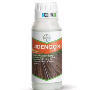ADENGO 315SC 0,5L PO SIEWIE W KUKURYDZY