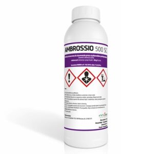 AMBROSSIO 500 SC 1L INNVIGO TEBUKONAZOL, MĄCZNIAK, RDZA,