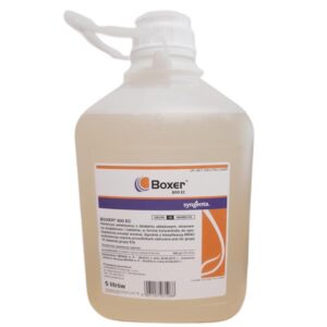 BOXER 800EC 5L MIOTŁA PRZYTULIA KOMOSA