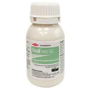 GOAL 480SC 250ML CHWASTY DWULIŚCIENNE W CEBULI