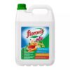 FLOROVIT 5L UNIWERSALNY NAWÓZ