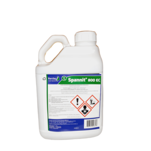 SPANNIT 800EC (AMSTAF) (BOXER)