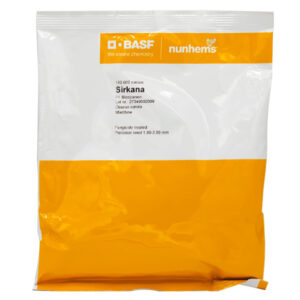 Marchew Sirkana 1,80-2,00 100tys NUNHEMS