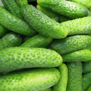 OGÓREK GRACIE 100G EJA