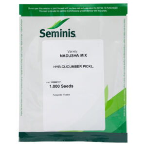 OGÓREK GRUNTOWY NADUSHA F1 1000N