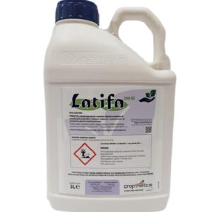 LATIFA 250 SC 5L AZOKSYSTROBINA (AMISTAR)