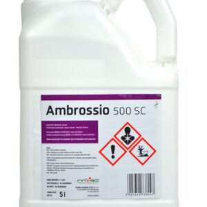 AMBROSSIO 500SC 5L TEBUKONAZOL