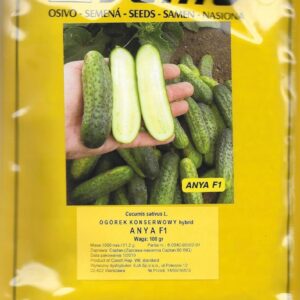 Ogórek ANYA 100G