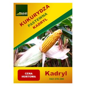 KUKURYDZA KADRYL FAO 270/280 50T