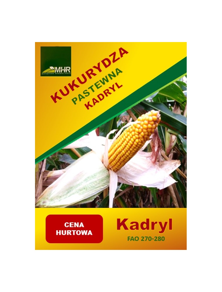 KUKURYDZA KADRYL FAO 270/280 50T
