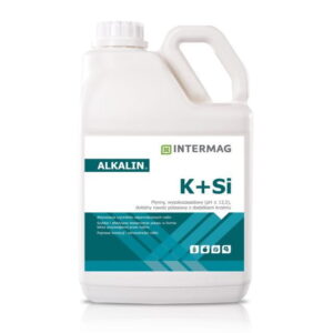 ALKALIN KB+SI 5L