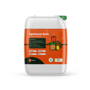 OPTIMUM BULB 5L ADTERRAM
