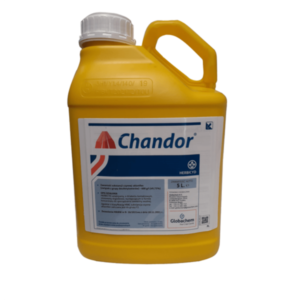 CHANDOR 5L ALKONIFEN(BANDUR)