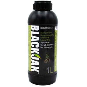 BLACK JACK 1L