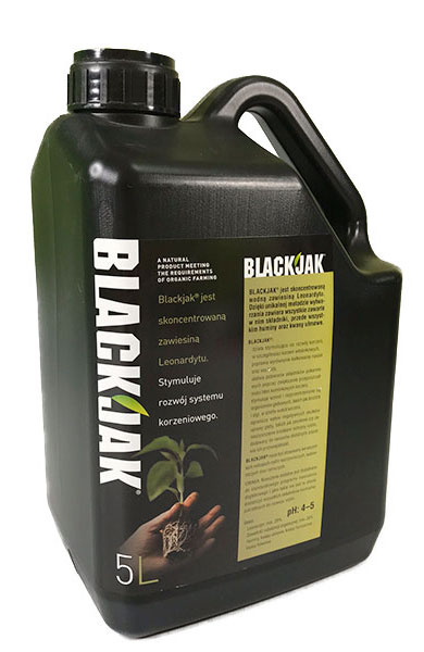 BLACKJACK 5L KWASY FULOWOWE HUMINOWE STYMULATOR WZROSTU
