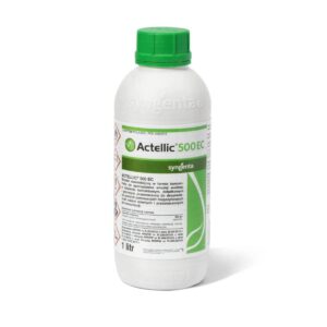 ACTELIC 500 EC 1L szkodniki magazynowe wołek zbożowy