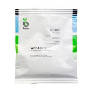 Burak Wodan F1 10 tys. prec. 3,00-3,50  ćwikłowy wczesny | Bejo