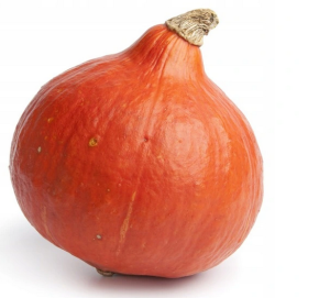 Dynia Hokkaido Orange 100g Standard SEMO