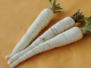 Pietruszka Korzeniowa OLOMOUCKA DLOUHA 500 TYS SZTUK NASION